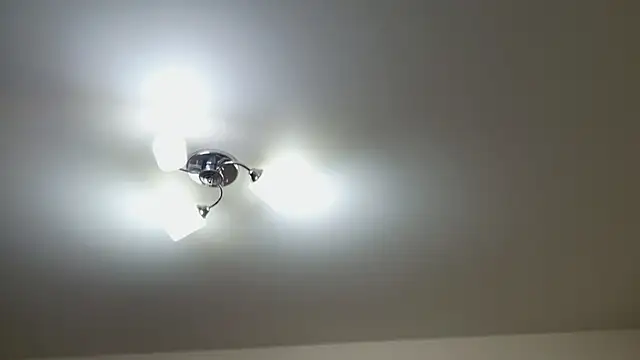 Foxy-lady online show from December 22, 2025, 7:00 pm