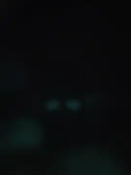 00x0x00 online show from May 20, 2026, 3:13 am