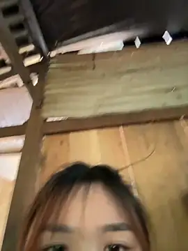 Spring-spring online show from November 24, 2025, 5:40 am