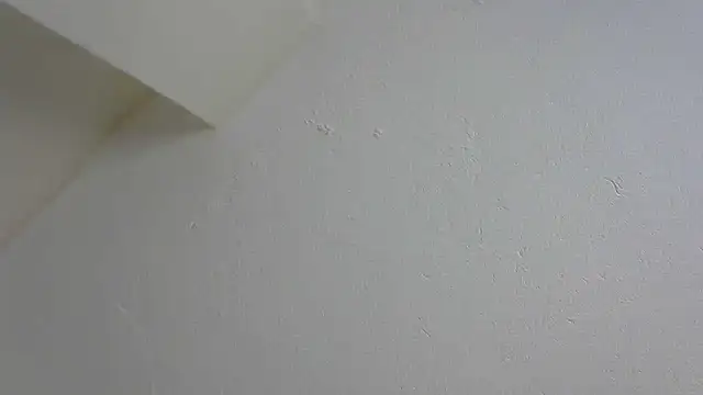 Speedo1988 online show from January 17, 2026, 7:17 pm