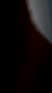 chichibirdd online show from November 25, 2025, 2:44 am