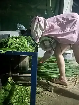 nangmo online show from March 7, 2026, 12:02 pm