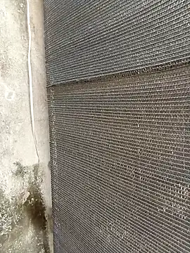 lynae-0 online show from December 21, 2025, 8:21 am