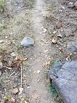 desi alpha boy online show from January 16, 2026, 1:42 am