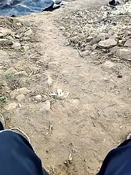 desi alpha boy online show from January 18, 2026, 11:36 am