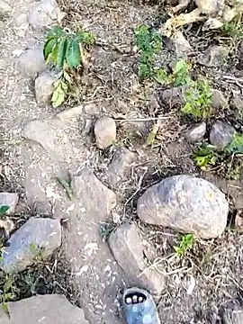 desi alpha boy online show from February 3, 2026, 1:48 am