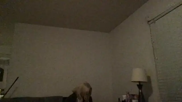 Babyboobabybye08 online show from March 6, 2026, 11:17 am