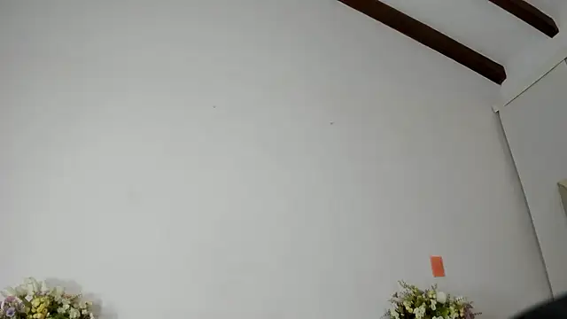 IsaSantoDomingo online show from January 17, 2026, 10:57 pm