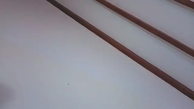 IsaSantoDomingo online show from February 5, 2026, 9:52 pm