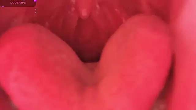 Snapshot of LT-333 chatting on February 6, 2026, 8:34 pm LT-333 online show from February 6, 2026, 8:34 pm