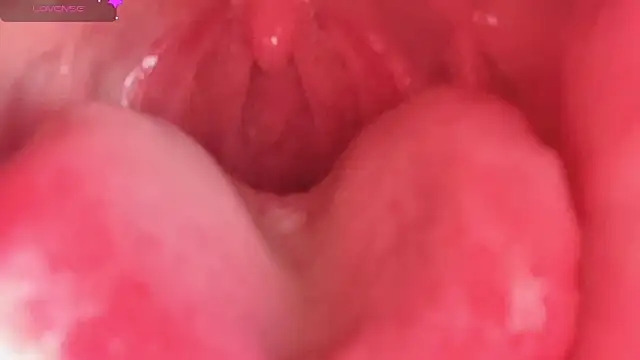 Snapshot of LT-333 chatting on February 10, 2026, 4:33 pm LT-333 online show from February 10, 2026, 4:33 pm