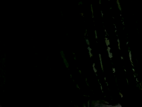 Quinn 05 online show from February 8, 2026, 5:38 pm