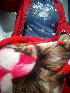 Snapshot of SassyDiy chatting on January 13, 2026, 11:59 am SassyDiy online show from January 13, 2026, 11:59 am