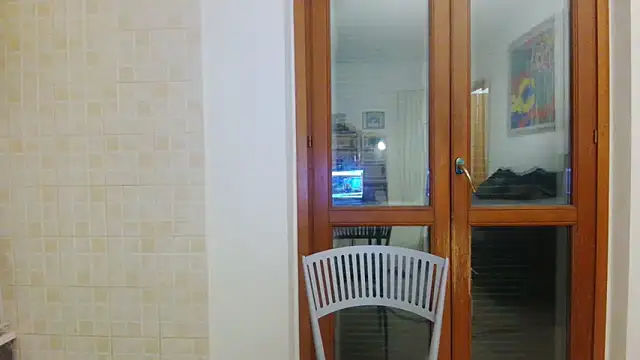 AMIRDIB2025 online show from April 29, 2026, 2:48 am