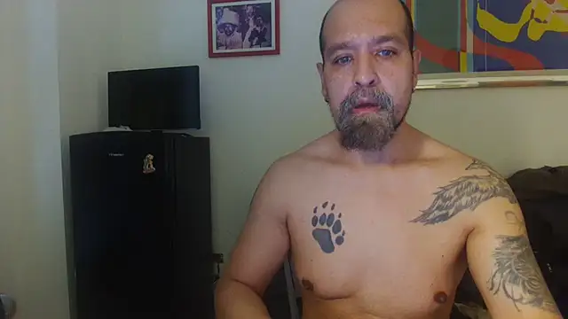 AMIRDIB2025 online show from August 7, 2026, 5:37 pm