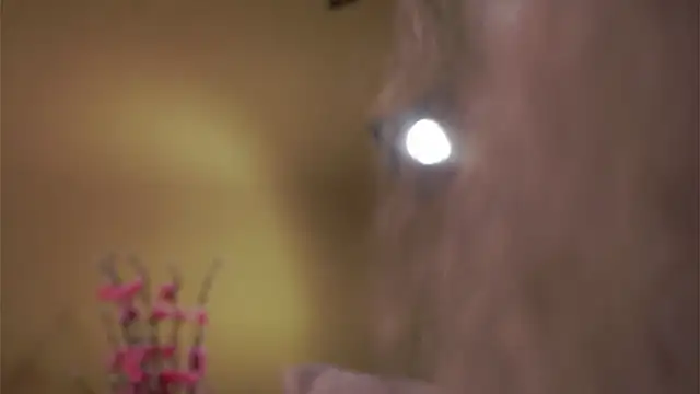 AunclreaVache online show from March 5, 2026, 12:56 pm