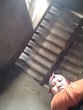 LeoPet2x online show from February 5, 2026, 3:11 am