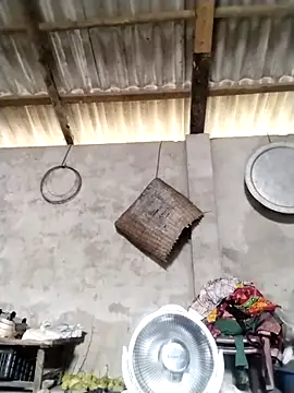 Snapshot of LeoPet2x chatting on March 16, 2026, 5:44 am LeoPet2x online show from March 16, 2026, 5:44 am