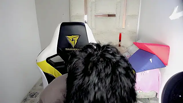 Green XoX online show from January 19, 2026, 1:37 pm