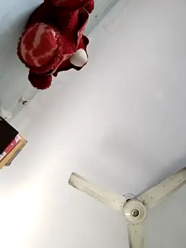 RADHIKA-1143 online show from February 2, 2026, 10:14 am