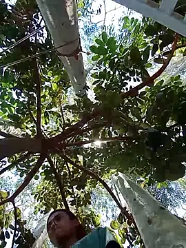 Negok1ng17cm online show from December 4, 2025, 3:21 pm