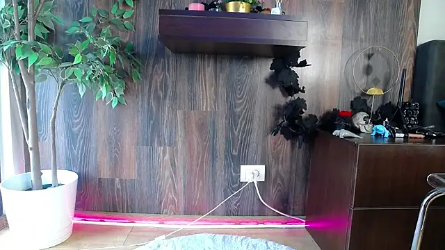 RavenFoxxy online show from February 12, 2026, 6:52 am