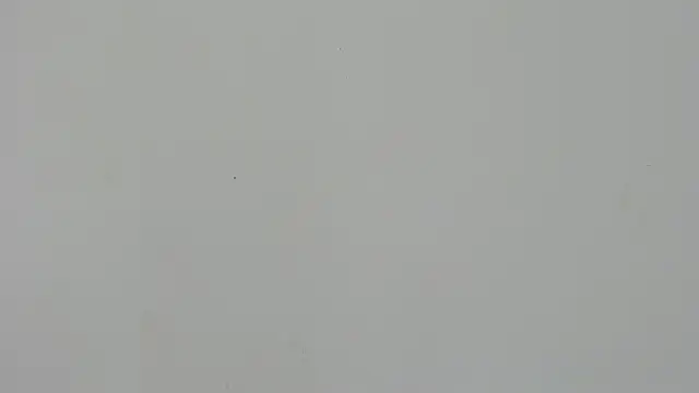 Ladymadinght online show from February 4, 2026, 2:01 pm