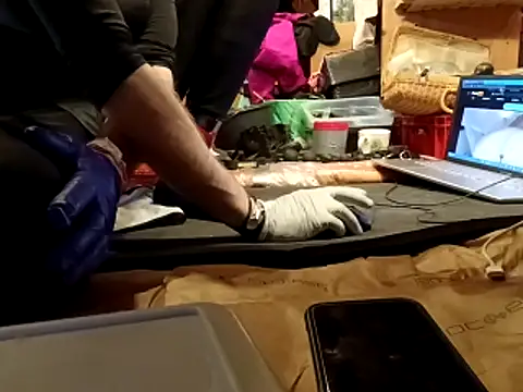 laaralatexxa BDSM online show from March 13, 2026, 4:08 am