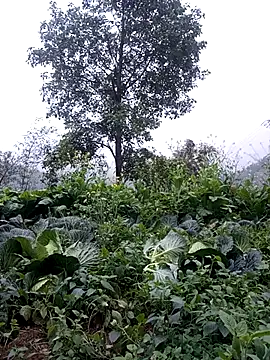 sary-hot2x online show from February 24, 2026, 10:46 am