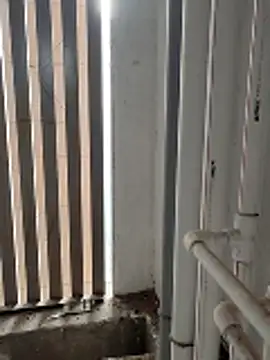 boyfromMum bai online show from January 16, 2026, 2:48 am