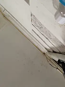 Mon babyy online show from January 17, 2026, 4:39 am