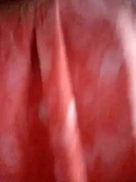 Snapshot of Miss__alone009 chatting on February 16, 2026, 6:26 pm Miss alone009 online show from February 16, 2026, 6:26 pm