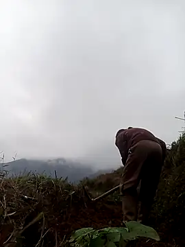 mon-monk online show from December 17, 2025, 1:11 am