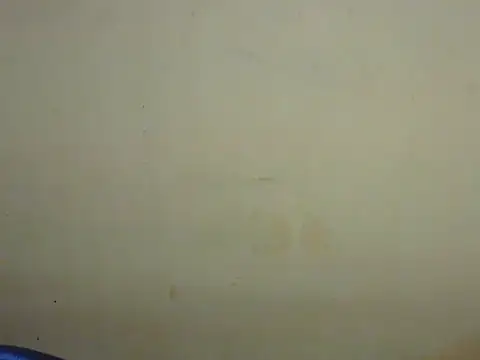 Exotic tanvi online show from February 19, 2026, 4:14 pm