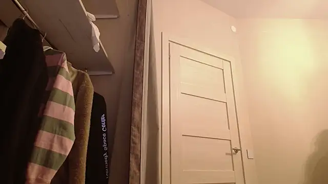 Snapshot of PeachTree chatting on February 17, 2026, 3:29 pm PeachTree online show from February 17, 2026, 3:29 pm