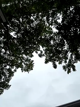 cmvoo online show from December 21, 2025, 6:53 am