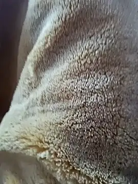 AR7v online show from December 15, 2025, 9:24 am