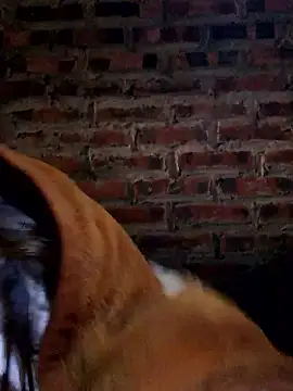 yana-zz online show from January 13, 2026, 12:27 am