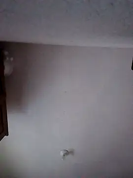 moni 1  online show from January 9, 2026, 6:49 am