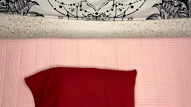 Snapshot of Shining_Robi chatting on February 19, 2026, 12:45 pm Shining Robi online show from February 19, 2026, 12:45 pm