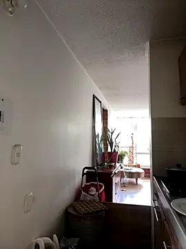  NickJuniorr online show from December 13, 2025, 7:53 pm