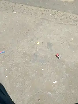 rkmumbaimeet online show from December 15, 2025, 7:29 pm