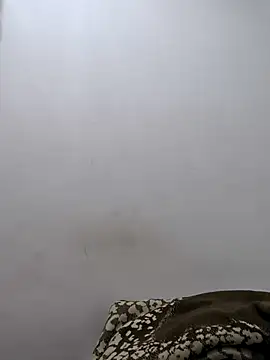 twinkarabboy online show from February 17, 2026, 11:29 am