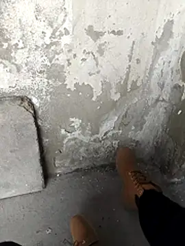 Mar81 online show from February 12, 2026, 1:06 pm