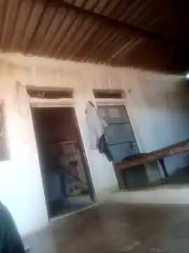 Pinki rajak online show from March 6, 2026, 11:17 am