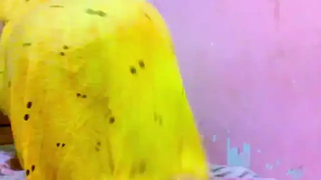 kondi Bula4 online show from December 19, 2025, 11:39 am