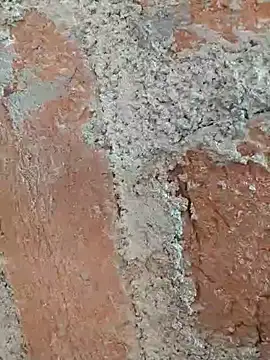 Soniya5533 online show from December 14, 2025, 9:03 am