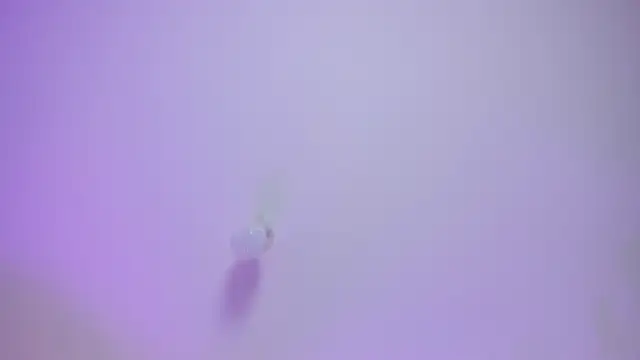 Morgan Lux online show from February 4, 2026, 12:11 pm