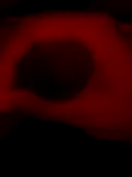 DaveeeIsTheone online show from January 6, 2026, 12:14 am