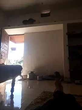 shubhamkumaraoo online show from December 18, 2025, 7:14 am